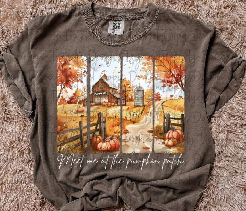 Meet me at the pumpkin patch