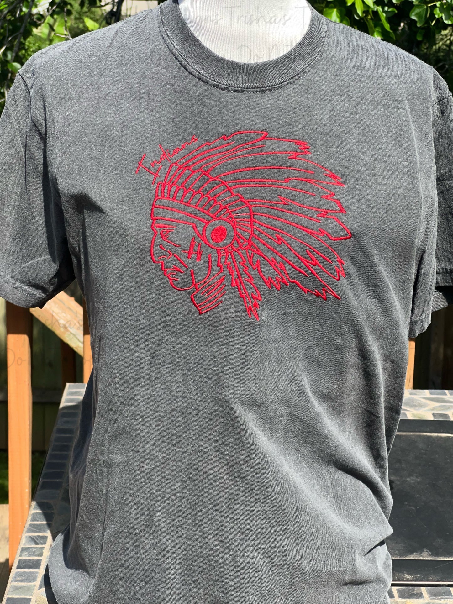 Indians embroidery