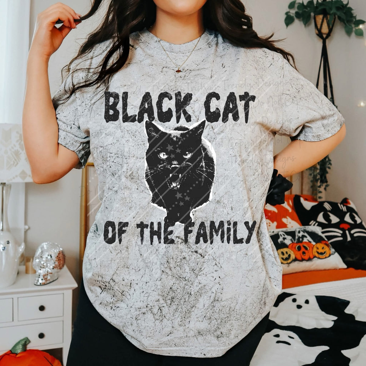 Black cat of the family