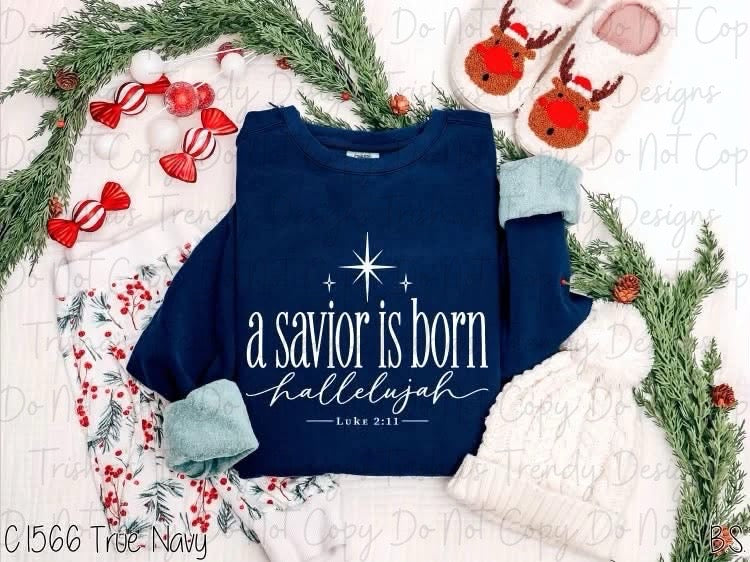 A savior is born hallelujah