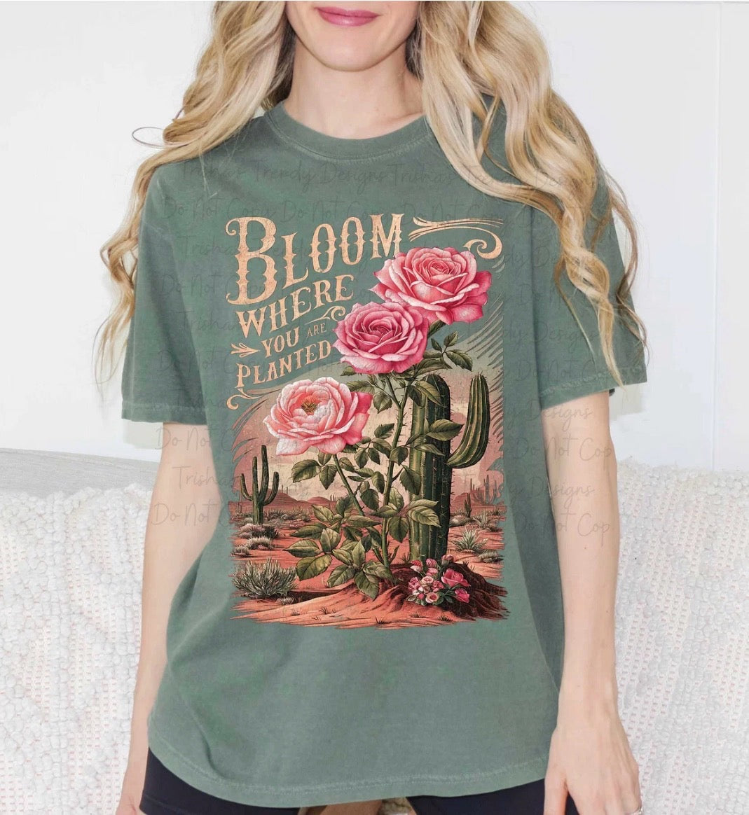 Bloom where you are planted