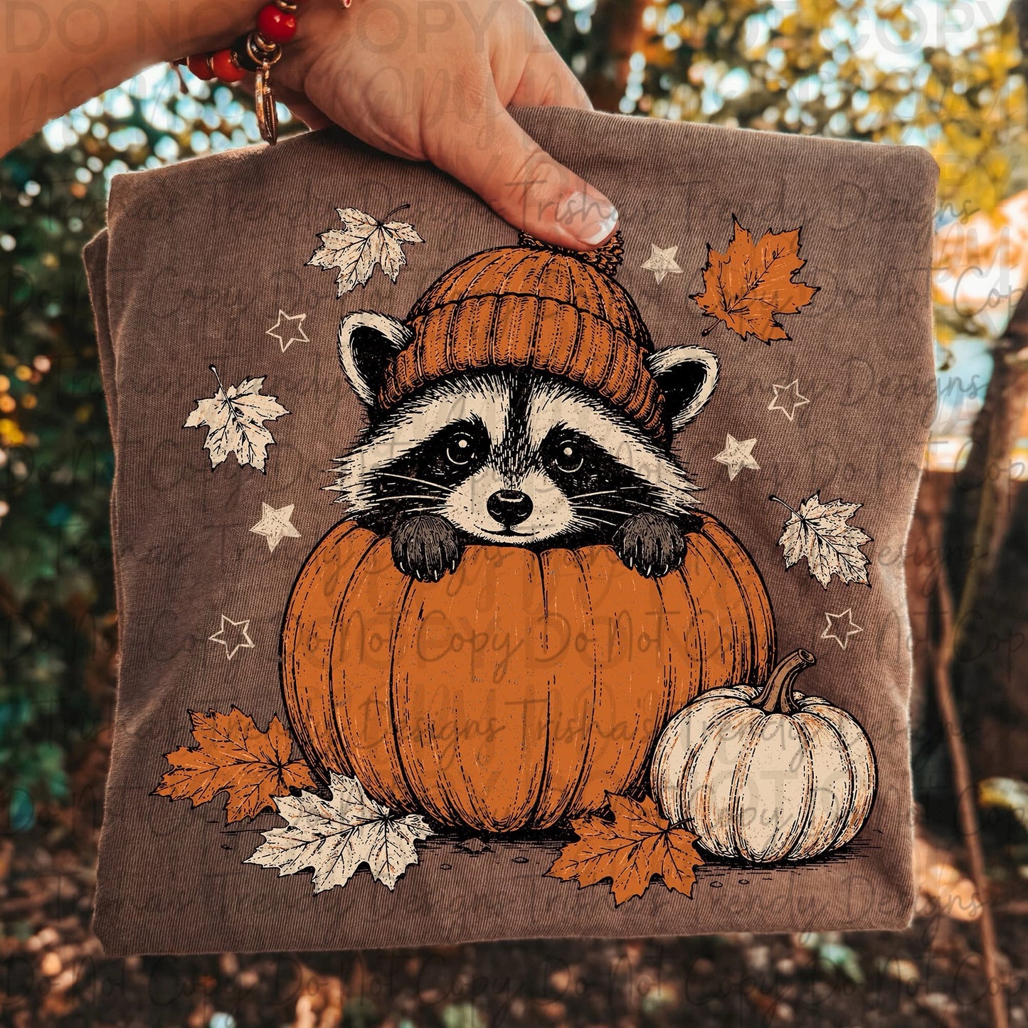 Fall racoon 🦝