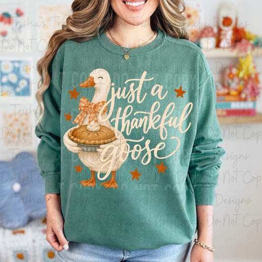 Just a thankful goose