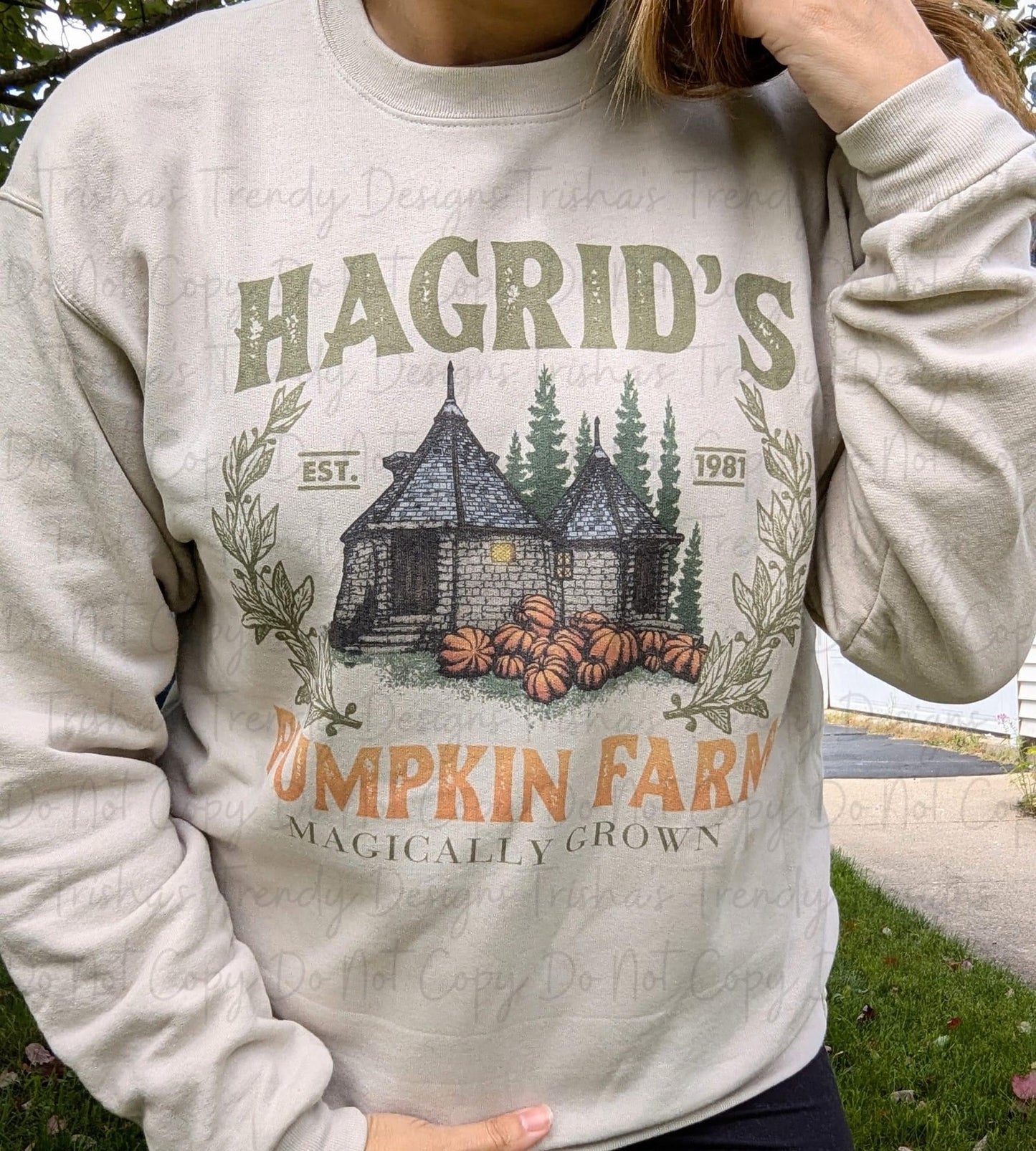 Hagrids pumpkin farm